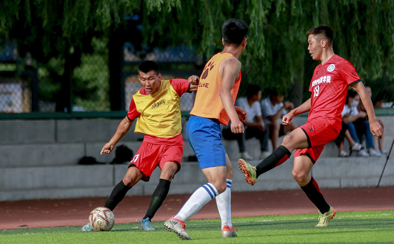 成都蓉城在中超和足协杯表现不佳，古尔芬克尔可能离队，周定洋面临续约问题，俱乐部需补强阵容。（中超足协杯双线低迷，成都蓉城或失古尔芬克尔、周定洋续约成疑，亟待补强阵容）